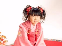 Sh4663s-6.jpg